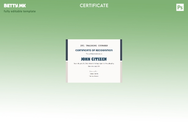 Модерен стил, шаблон за сертификат за курсеви за обука во САД